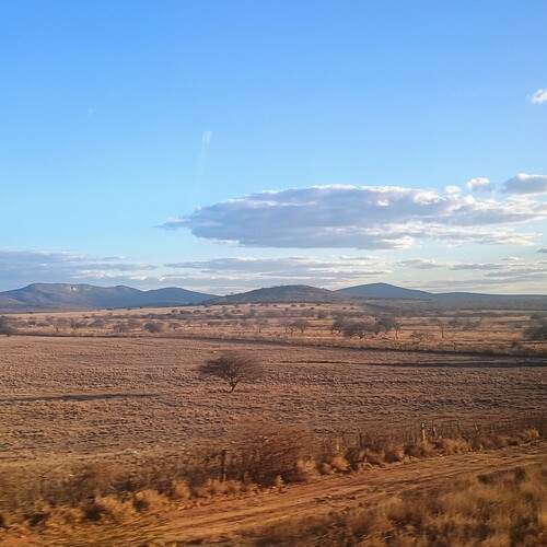 Photo #12617702