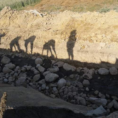 Photo #12617726