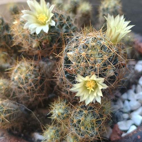 Photo #12617755