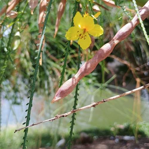 Photo #12617757
