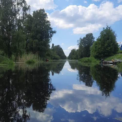 Photo #12617815
