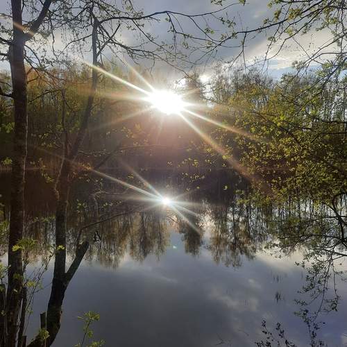 Photo #12617817