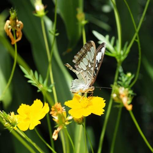 Photo #12617895