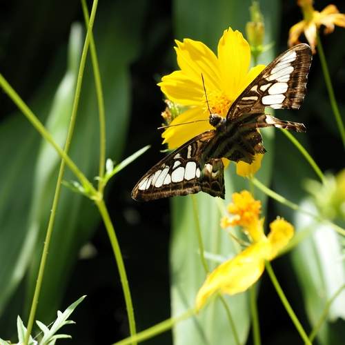 Photo #12617897