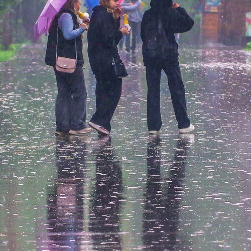 Photo #12617957