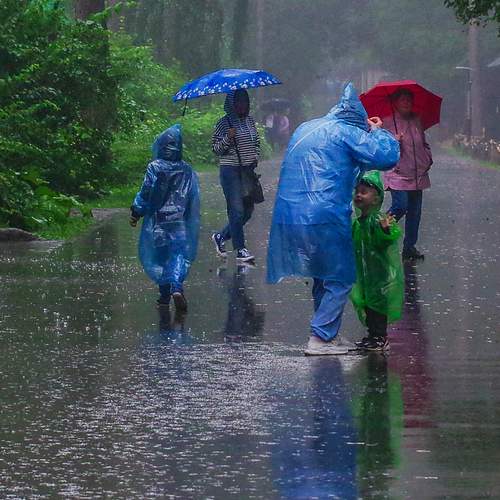 Photo #12617984