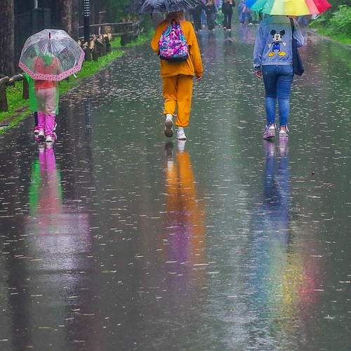 Photo #12617987