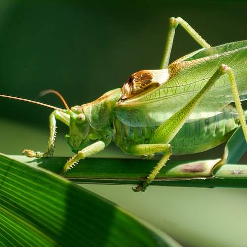Photo #12618027