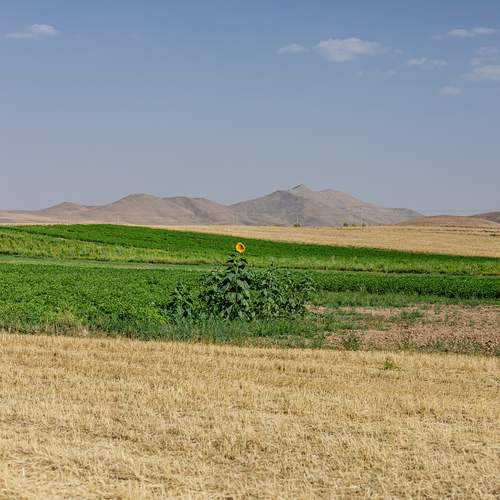 Photo #12618053