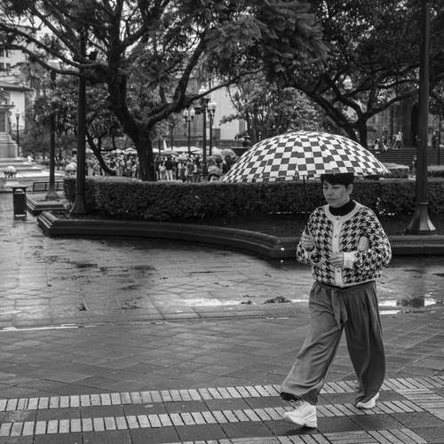 Patterned Umbrella