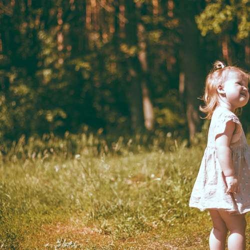 Photo #12618405