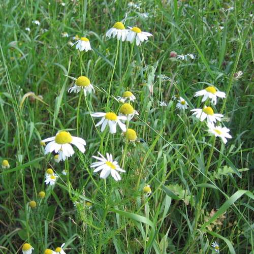 Photo #12618434
