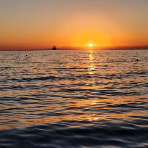Photo #12618649
