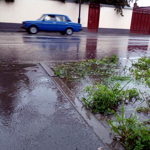 Photo #12618781