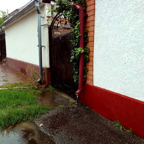 Photo #12618784