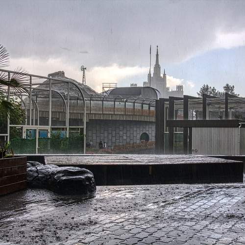 Photo #12618799