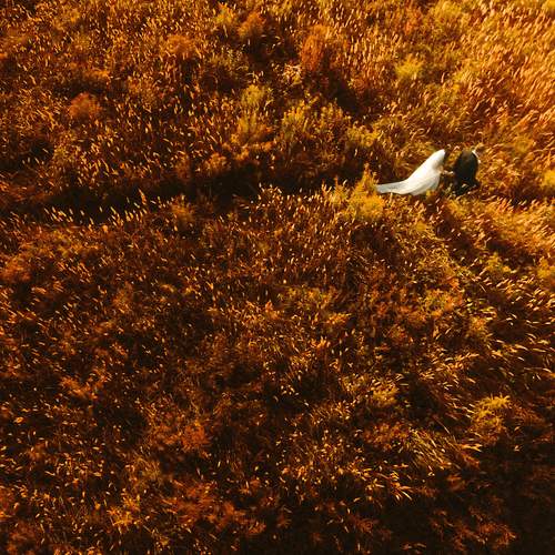 Photo #12618901