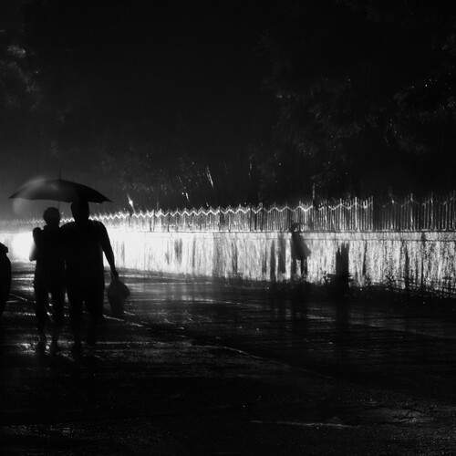 Photo #12618920
