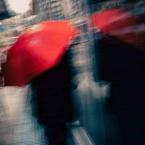 Photo #12619063