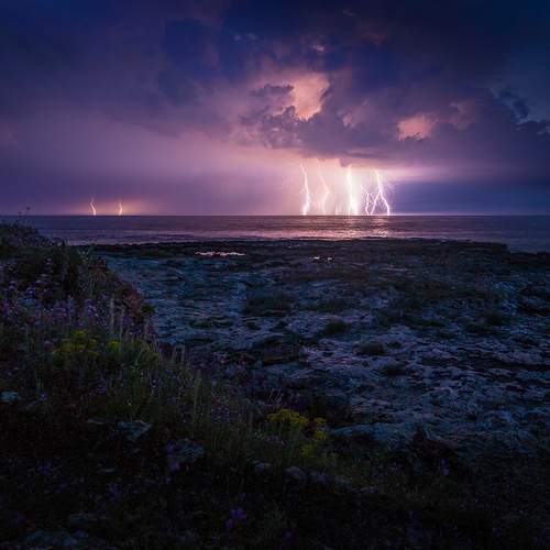 Photo #12619181