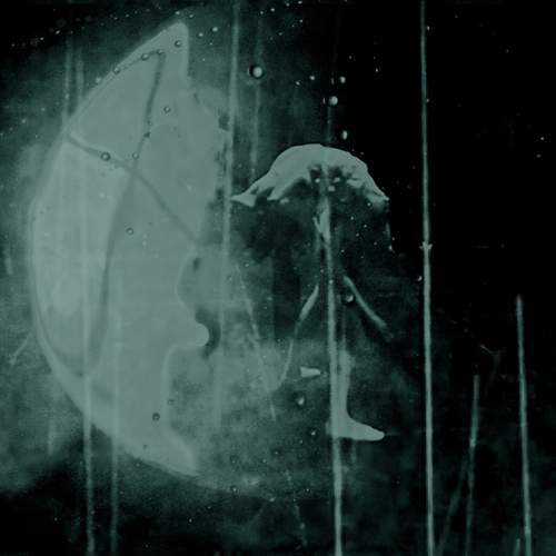 Photo #12619198
