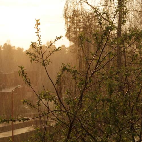 Photo #12619279