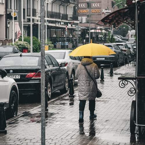 Photo #12619323