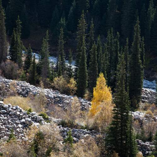 Photo #12619433