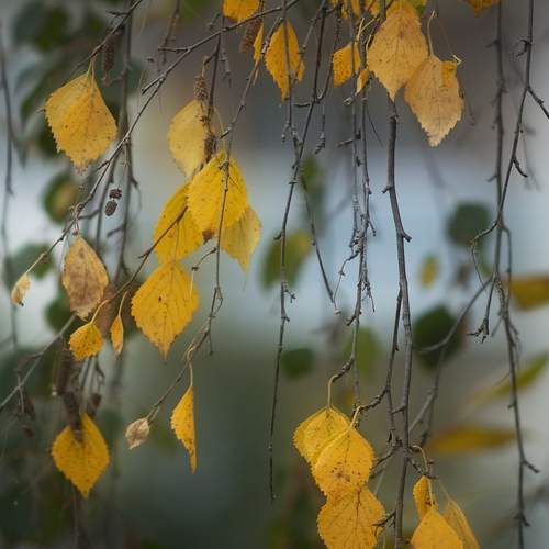 Photo #12619524