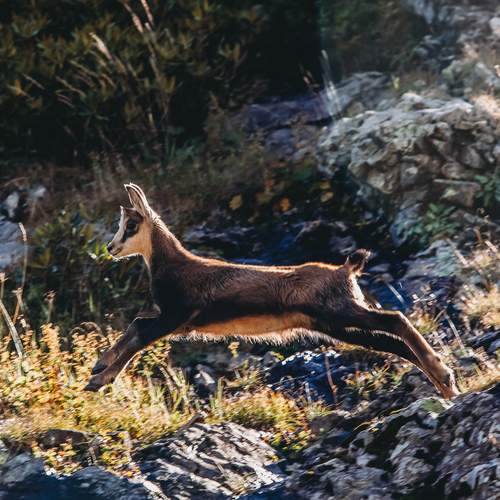Photo #12619584