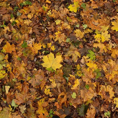 Photo #12619609