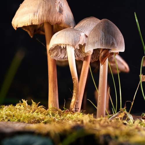 Photo #12619612