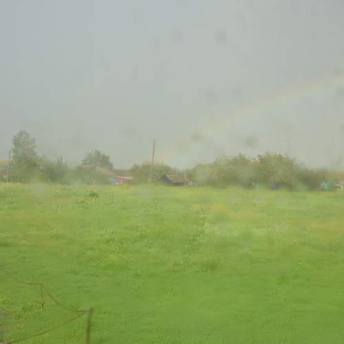 Photo #12619929