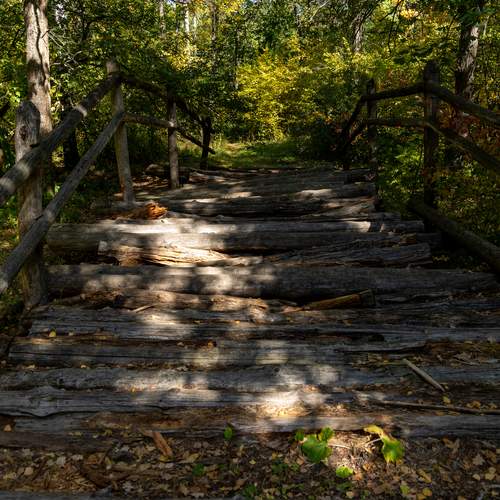 Photo #12619955