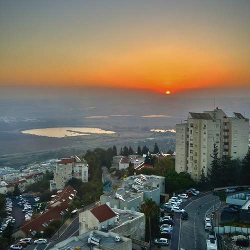 Photo #12620282