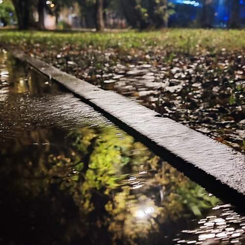 Photo #12620322