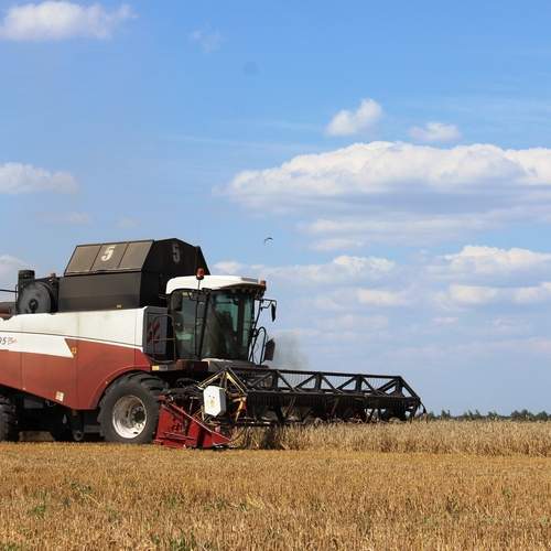 Photo #12620335