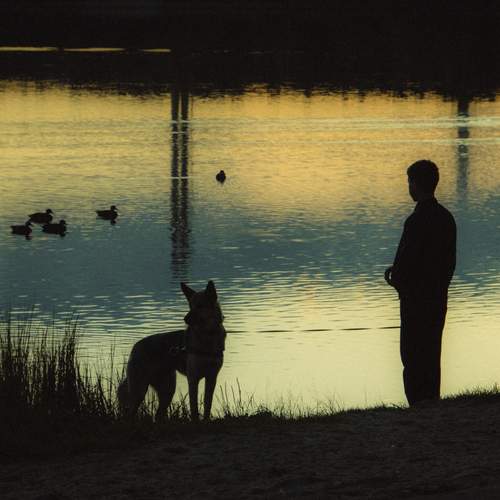 Photo #12620337