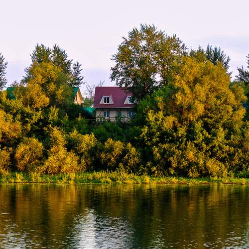 Photo #12620459