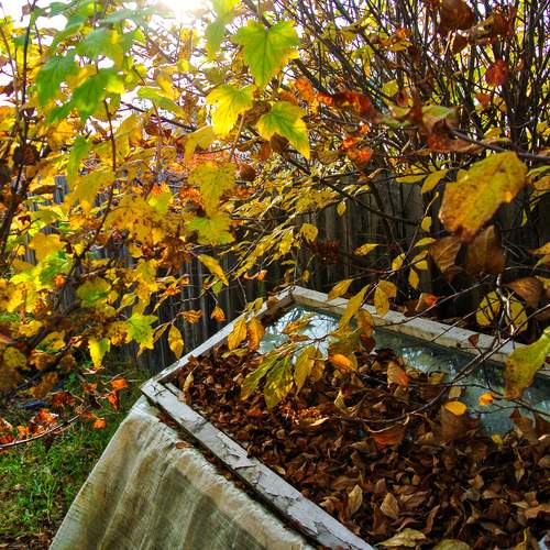 Photo #12620464