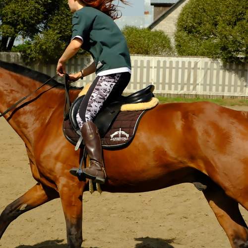 Photo #12620477