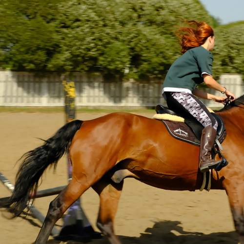 Photo #12620479