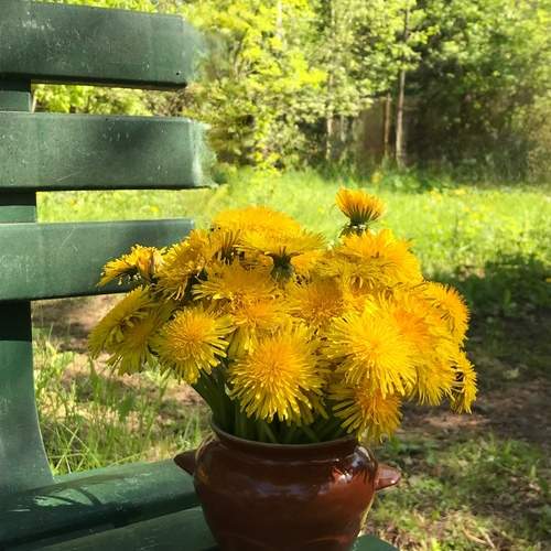 Photo #12620838