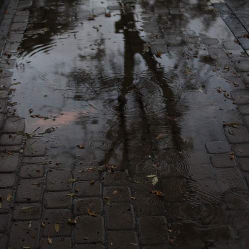Photo #12620865