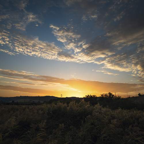 Photo #12621028