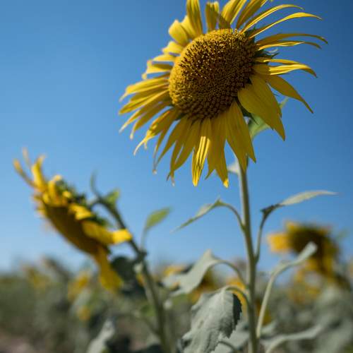 Photo #12621059