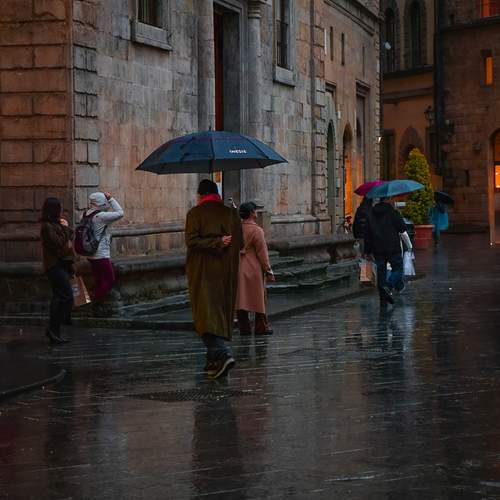 Photo #12621068