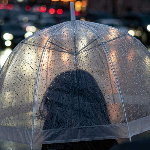 Photo #12621071