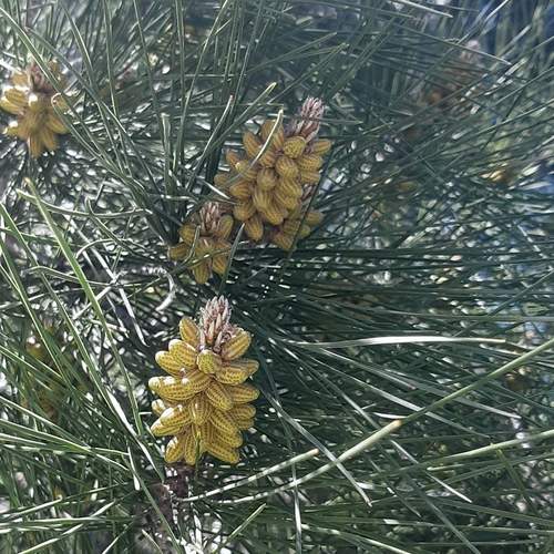 Photo #12621130