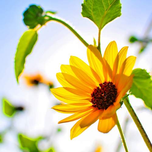 Photo #12621547
